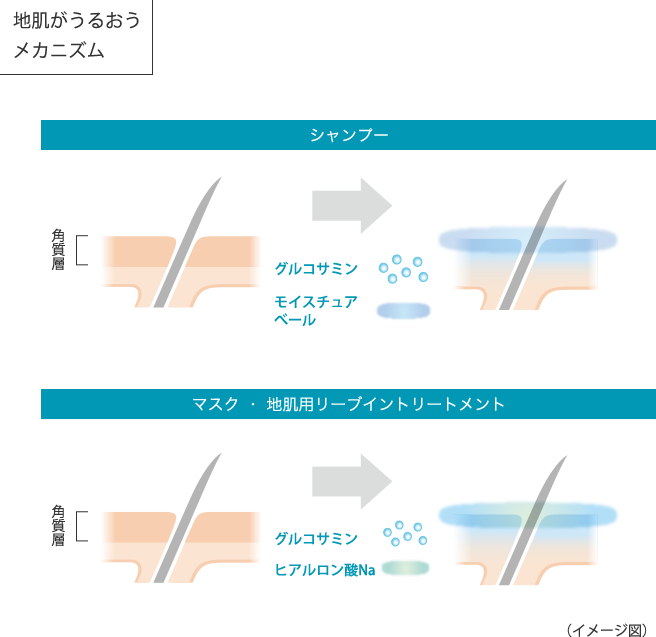 地肌がうるおうメカニズムの画像